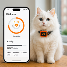 Załaduj obraz do przeglądarki galerii, KittyFind GPS Collar
