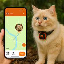 Załaduj obraz do przeglądarki galerii, KittyFind GPS Collar
